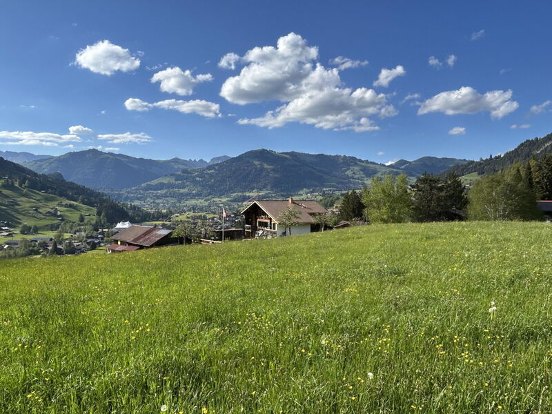 Alpenchalet Haldeli