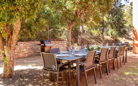 Begur Collection: Furniture, Outdoor Furniture, Chair, Outdoor Table, Shade, Garden, Landscaping, Patio, Kitchen & Dining Room Table, Backyard