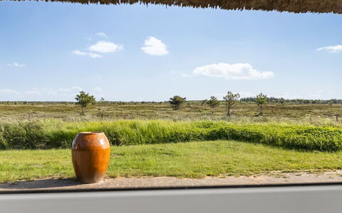 Esma - 3Km from the Sea: Building, House, Window, Home, Roof, Residential Area, Shrub, Cottage, Land Lot