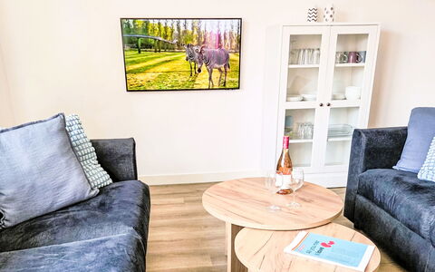De Wieringerheid 164: Furniture, Interior Design, Floor, Flooring, Couch, Living Room, Room, Wood, Cushion, Throw Pillow