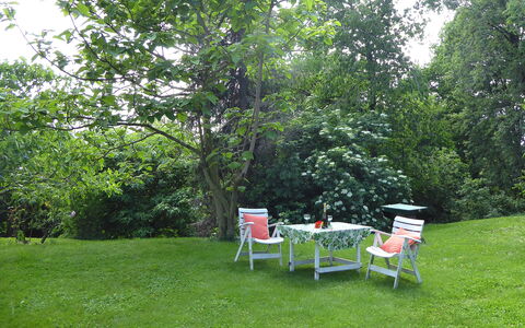 Casa Ballo delle Streghe, Garden, Montebelluna: Furniture, Green, Tree, Leaf, Garden, Outdoor Furniture, Shrub, Chair, Lawn