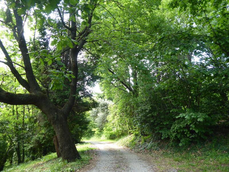 Casa Ballo delle Streghe, Garden, Montebelluna