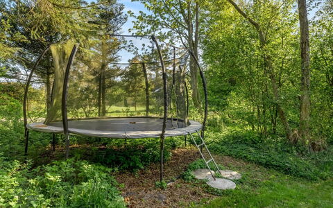 Eine - from the Sea: Grass, Grassland, Land Lot, Cottage, Rural Area, Meadow, Garden Buildings, Garden, Shed