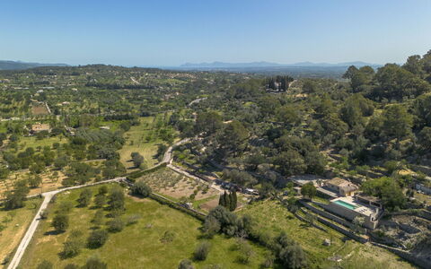 Petit Can Garcia: Tree, Vegetation, Landscape, Plain, Ecoregion, Land Lot, Bird'S-Eye View, Rural Area, Aerial Photography, Human Settlement