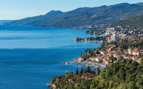 Opatija 158: Wood, Interior Design, Flooring, Furniture, Floor, Table, Kitchen & Dining Room Table, Chair, Wood Flooring, Room