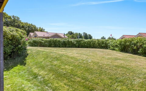 Era - 100M from the Sea: Green, Shrub, Grassland, Land Lot, Plain, Garden, Lawn, Groundcover, Hedge
