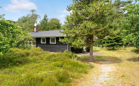 Ivar - from the Sea: Grass, Grassland, Land Lot, Cottage, Rural Area, Meadow, Garden Buildings, Garden, Shed