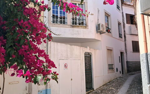Dom Carlos: Wall, Pink, Balcony, Blossom, Alley, Bougainvillea, Houseplant