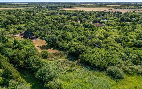 Gadde - 100M to the Fjord: Tree, Natural Environment, Vegetation, Natural Landscape, Landscape, Bird'S-Eye View, Ecoregion, Plain, Land Lot, Grassland