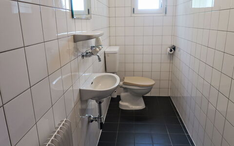 La Tzoumaz 172: Toilet Seat, Bathroom, Plumbing Fixture, Wall, Toilet, Flooring, Bathroom Sink, Floor, Sink, Plumbing