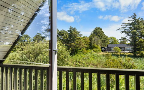 Luci - 20M from the Sea: Estate, Shade, Driveway, Farmhouse