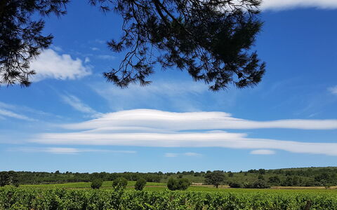 Maison des Lauriers: Blue, Sky, Daytime, Nature, Leaf, Cloud, Horizon, Ecoregion, Plain, Land Lot