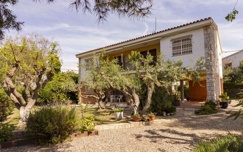 Mas Baixuli: Cloud, Plant, Sky, Plant Community, Window, Building, Tree, Land Lot, Cottage, Residential Area