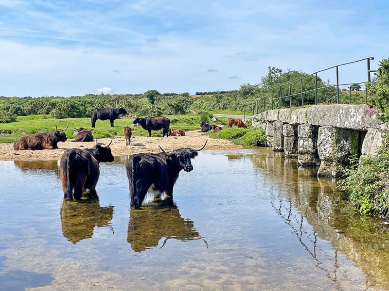 Stable Barn Apartment at Bodmin Moor