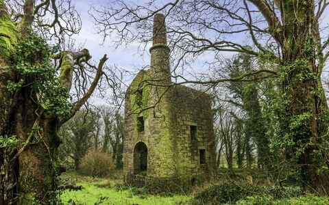 The Hideaway: Grass, Shrub, Landscape, Grassland, Rural Area, Brickwork, Meadow, Ruins, Castle, Stone Wall