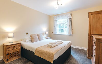 Netley Hall - Camelia