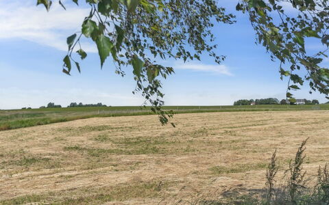 Lacey - 4Km from the Sea: Estate, Shade, Driveway, Farmhouse