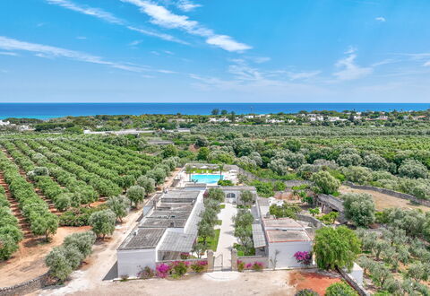 Masseria Lamagrotte By Raro Rooms: Resort, Estate, Landscaping, Plantation, Bird'S-Eye View, Swimming Pool, Eco Hotel, Aerial Photography, Resort Town, Hacienda