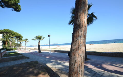 Cambrils 185: Plant, Property, Houseplant, Building, Flowerpot, Lighting, Interior Design, Wood, Flooring, Floor