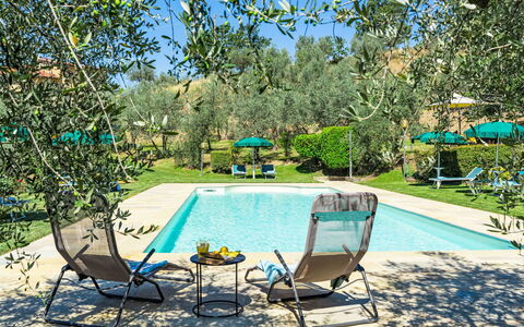 La Malva: Swimming Pool, Resort, Outdoor Furniture, Garden, Backyard, Lawn, Eco Hotel, Hacienda, Yard, Landscaping