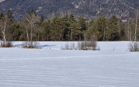 Strobl 1: Winter, Snow, Tree, Branch, Mountainous Landforms, Mountain, Wilderness, Freezing, Twig, Mountain Range