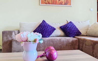 Accommodation:&nbsp;Wohnung 421 Seeblick 1.9