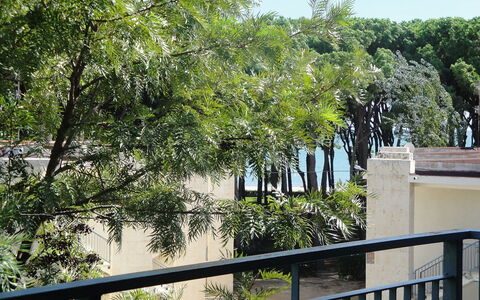Reus Mediterrani: Tree, Vegetation, Property, Woody Plant, Botany, Real Estate, Plant, Architecture, House, Home