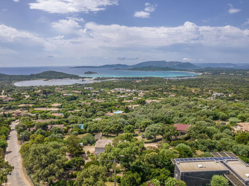 Caseddu D'Arasu