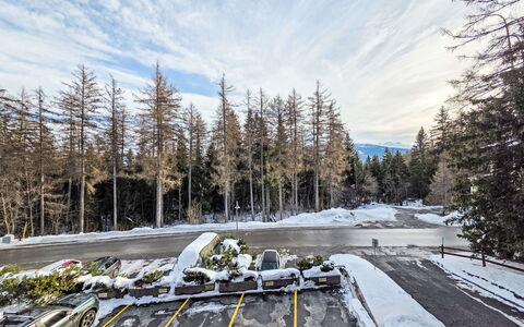 Reseda 3.23: Tree, Branch, Winter, Snow, Freezing, Trunk, Morning, Larch, Frost