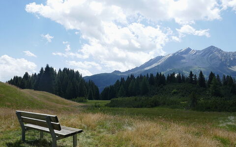 Larice: Sky, Mountainous Landforms, Green, Grass, Nature, Natural Environment, Mountain, Hill, Natural Landscape, Grassland