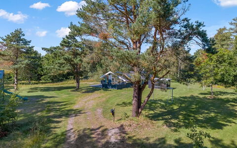 Rathulf - 700M from the Sea: Tree, Plain, Grassland, Land Lot, Meadow, Lawn, Pasture, Park, Evergreen