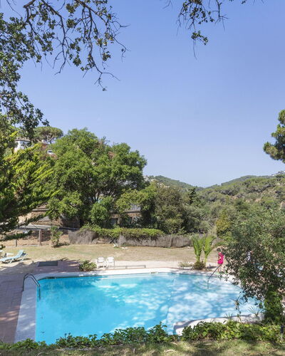 Buganvilla
