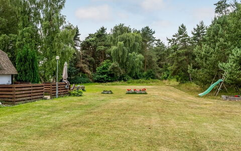 Hoat - 1.7Km from the Sea: Tree, Land Lot, Garden, Lawn, Cottage, Meadow, Backyard, Landscaping, Park, Pasture