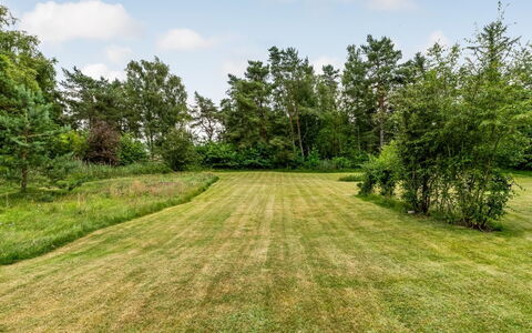 Hoat - 1.7Km from the Sea: Tree, Vegetation, Grassland, Summer, Shrub, Land Lot, Plain, Plant Community, Meadow