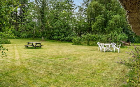 Hoat - 1.7Km from the Sea: Grass, Shrub, Grassland, Plain, Land Lot, Meadow, Lawn, Garden, Pasture, Park
