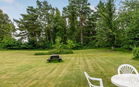 Hoat - 1.7Km from the Sea: Tree, Grass, Shrub, Landscape, Garden, Land Lot, Lawn, Meadow, Landscaping, Park