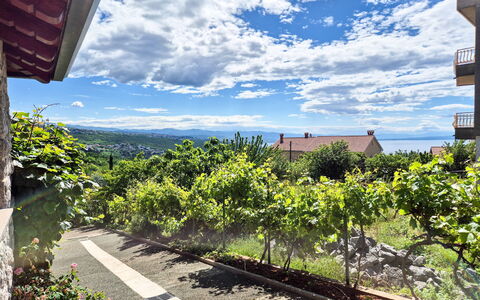 Opatija Pobri 137: Grass, House, Rural Area, Cottage, Roof, Home, Landscape, Plain, Land Lot