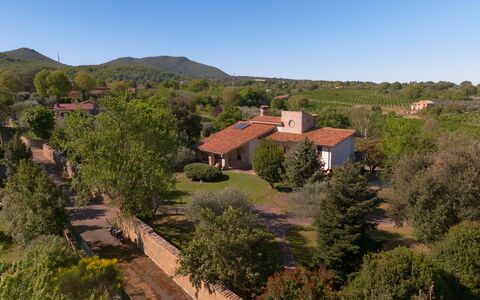 Villa Ginevra: Tree, Nature, House, Residential Area, Landscape, Home, Vegetation, Rural Area, Roof