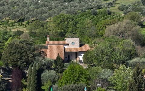 Villa Ginevra: Tree, Shrub, House, Roof, Home, Rural Area, Land Lot, Estate, Plantation, Garden