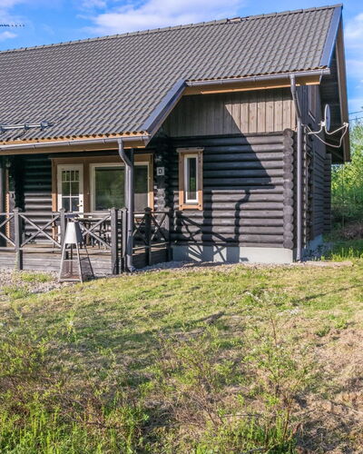 Ilves