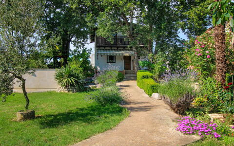 Ajla: Leaf, Garden, Shade, Eco Hotel, Outdoor Furniture, Yard, Landscaping, Design