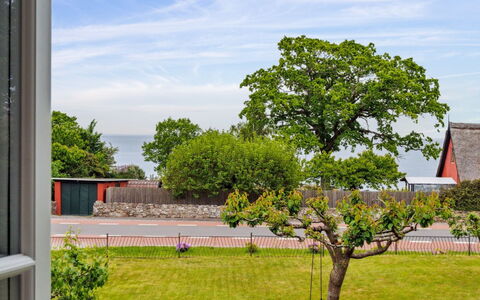 Hermine - 250M from the Sea: Leaf, Branch, Shrub, Spring, Garden, Shade, Woody Plant, Twig, Lawn
