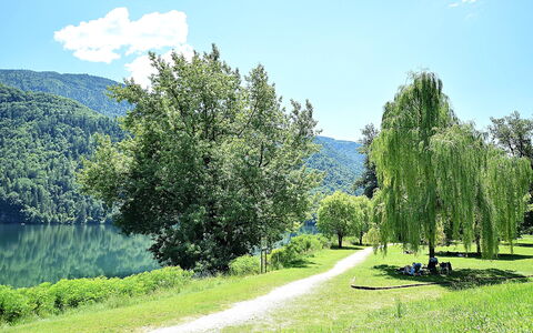 Casa Zaira: Green, Leaf, Tree, Nature, Natural Environment, Vegetation, Natural Landscape, Landscape, Bank, Spring