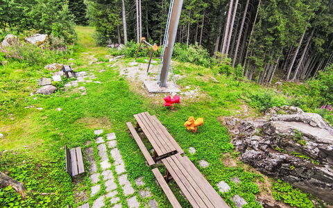 Tra le Piste: Forest, Larch, Garden, Woodland, Evergreen, Landscaping, Tropical And Subtropical Coniferous Forests