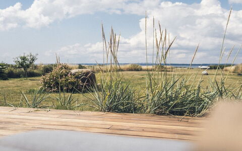 Bondi - 75M from the Sea: Grass, Grassland, Land Lot, Cottage, Rural Area, Meadow, Garden Buildings, Garden, Shed