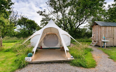 Oak Lotus Belle Tent: Tent, Camping, Ecoregion, Plant Community, Grassland, Morning, Meadow, Shade
