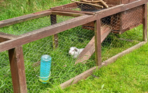 Oak Lotus Belle Tent: Mesh, Fence