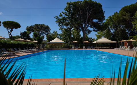 Accommodation:&nbsp;Bungalow Superior 649.2