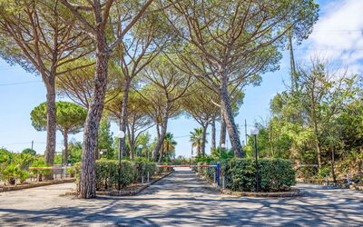 Accommodation:&nbsp;Bungalow Superior 649.2