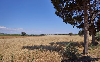 Accommodation:&nbsp;Appartamento Standard 649.3